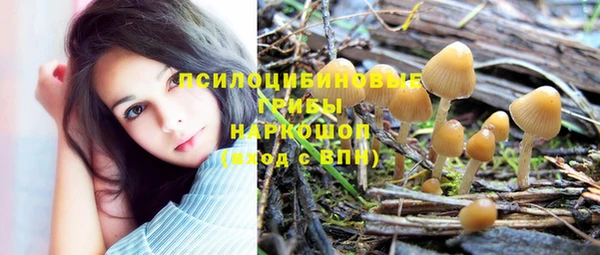 спиды Покровск