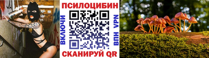 Купить где  Приозерск  Галлюциногенные грибы мухоморы 